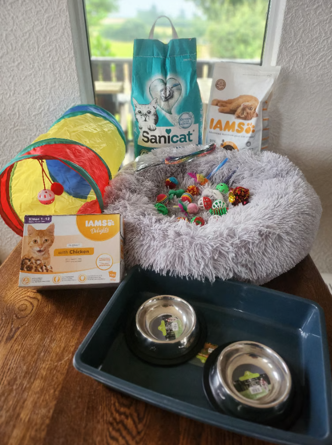 Care TIPS PAGE PHOTO