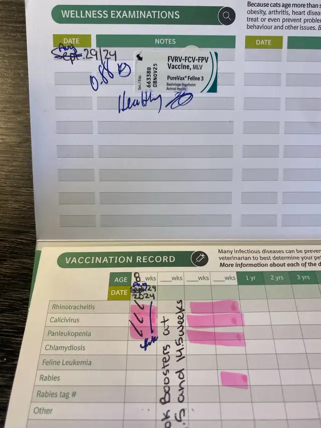 Health record add to blog page